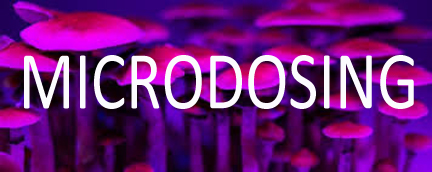 Mushrooms